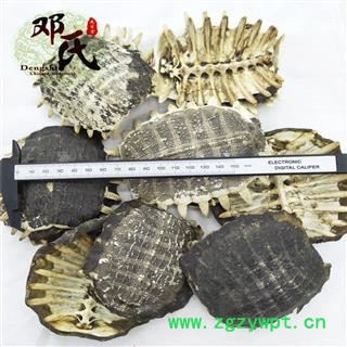 【满包邮】鳖甲 生鳖甲选货 优选品质 产地直供 邓氏中药材批发图2