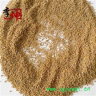 【满99包邮】白芥子 净货 四川产 正品 未掺黄芥子【良心经营 绝不掺假】图2