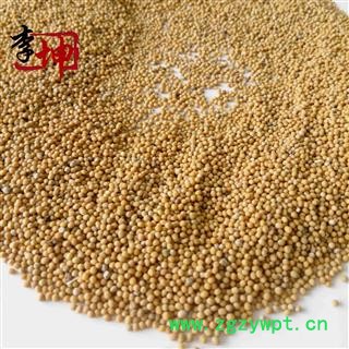 【满99包邮】白芥子 净货 四川产 正品 未掺黄芥子【良心经营 绝不掺假】图3