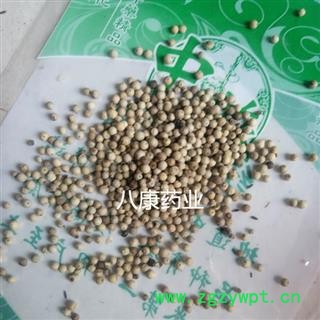 白胡椒 白胡椒 统图2