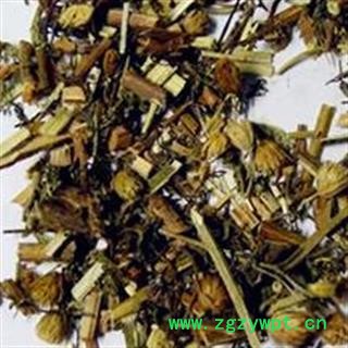 吉康药业爬山虎 爬墙虎 地锦 飞天蜈蚣蜈蚣草 对坐草 石上蜈蚣 百足草 铁斑鸠 刺嫩芽图2