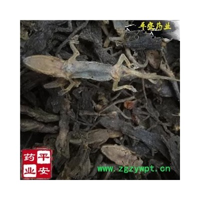 平安药业 壁虎 正品 完整个体