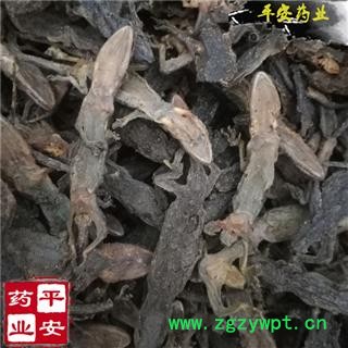 平安药业 壁虎 正品 完整个体图2