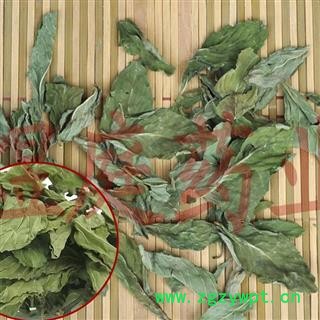 煜庭药业 薄荷叶 返现进行中图4