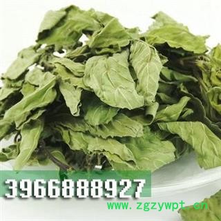 娟子中药 薄荷叶 薄荷 产地 河南省图3