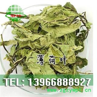 娟子中药 薄荷叶 薄荷 产地 河南省图2