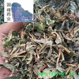 败酱 败酱草 正品野生 低价销售 颜色好 无硫磺 无虫蛀 国峰药业 重在品质 产地 山东省图2