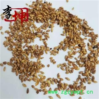 【包邮】柏子仁 统货未去壳  山东产 【良心经营 品种齐全】图3