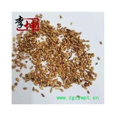 【包邮】柏子仁 统货未去壳  山东产 【良心经营 品种齐全】