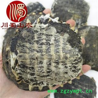 鳖甲无肉个子统货散装1公斤起批产地直供白色鳖甲川蜀山农中药材批发图2