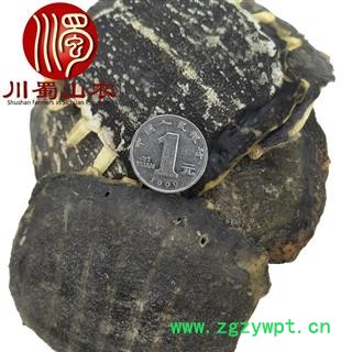 鳖甲无肉个子统货散装1公斤起批产地直供白色鳖甲川蜀山农中药材批发图3