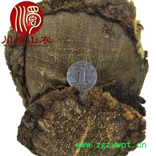 制血鳖甲带肉个子无硫统货散装1公斤起批产地直供川蜀山农中药材批发图3