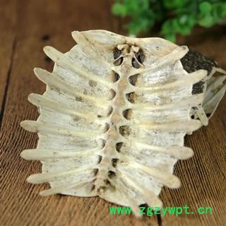 鳖甲 全鳖甲 整片鳖甲 正品保证质量7天无理由退货退款 中药材批发 丽丽药业图4