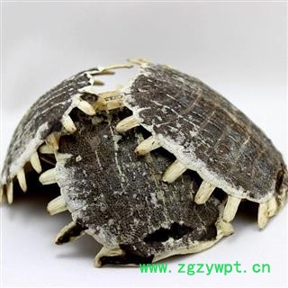 鳖甲 全鳖甲 整片鳖甲 正品保证质量7天无理由退货退款 中药材批发 丽丽药业图2