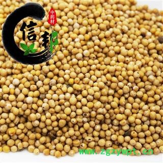 白芥子辣菜子产地直销一手货源1公斤起售欢迎选购专注品质，诚信信邦！图4