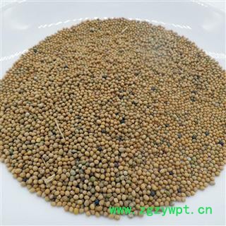 【满298元包邮】白芥子 白芥子净货 产地 四川省  1公斤1袋图3