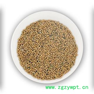 【满298元包邮】白芥子 白芥子净货 产地 四川省  1公斤1袋图2