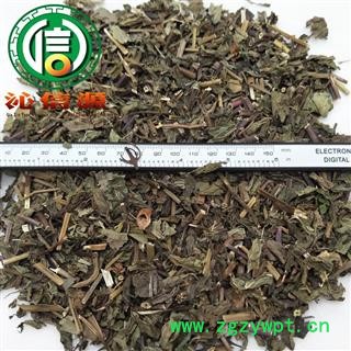 【满包邮】薄荷草段统货散装产地直供沁信源中药批发图2