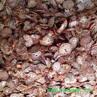 槟榔片 万信药业！ 地道药材统片 过筛无杂质 产地 广西壮族自治区图3