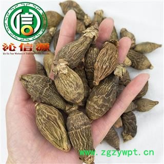 【满包邮】槟榔果个子统货散装青海产地直供枣槟榔 壳槟榔沁信源中药批发图3