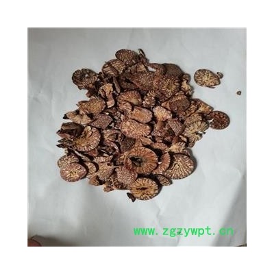 槟榔 01统 产地 广西壮族自治区贵港市覃塘区