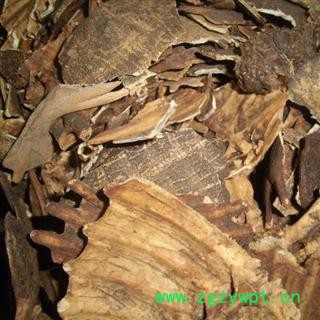 鳖甲 醋炙鳖甲 炒鳖甲 假一赔十 无杂质 干净 质量保证图2