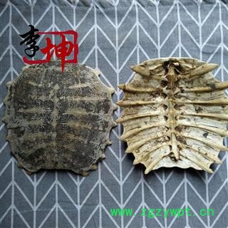 【包邮】鳖甲 老鳖甲 无肉特大个 选货 四川产 干度好【良心经营 品种齐全】图2