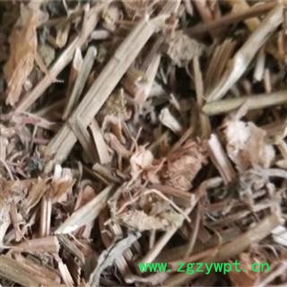 败酱 统 产地 河南省  败酱草图2