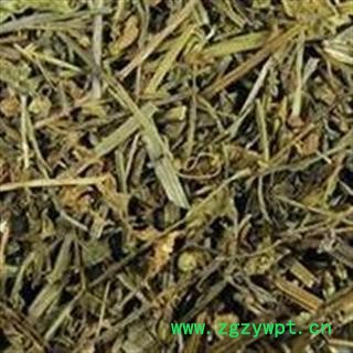 半枝莲 产地直销！量大私聊！半枝莲选段 过筛无杂质 绝对不掺假 质量杠杠的 产地 贵州省图2