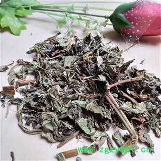 败酱草 北败酱草 产地 河北省图2