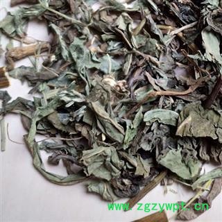 败酱 北败酱草 产地 河北省 买好药草找娟子图4