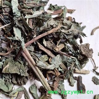 败酱 北败酱草 产地 河北省 买好药草找娟子图3