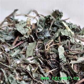 败酱 北败酱草 产地 河北省 买好药草找娟子图2