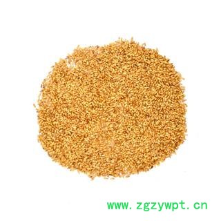 【满298元包邮】柏子仁选货 去壳率高无杂质新货  1000克1袋图4