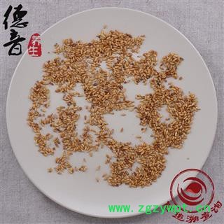 【满包邮】柏子仁 选 产地 河北省 1000g 中药材批发 规格齐全图3