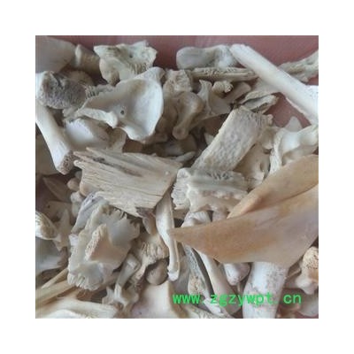 鳖甲 鳖甲骨 产地 江西省