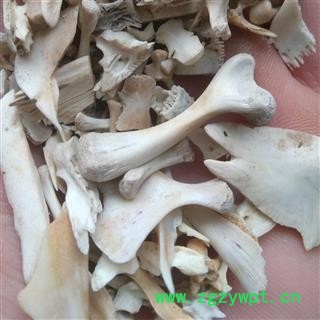 鳖甲 鳖甲骨 产地 江西省图2