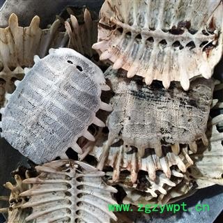 鳖甲 鳖甲陈货统货 产地 山东省图3