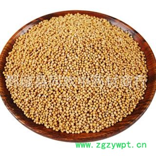 【白芥子】@【同欢药材】中药材批发供应  规格齐全 量大从优 产地 四川省图2