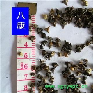 蒺藜 白蒺藜 01黑色统图2