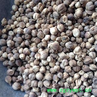 白豆蔻 白扣  选货 产地 广西壮族自治区图2