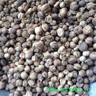 白豆蔻 白扣  选货 产地 广西壮族自治区图3