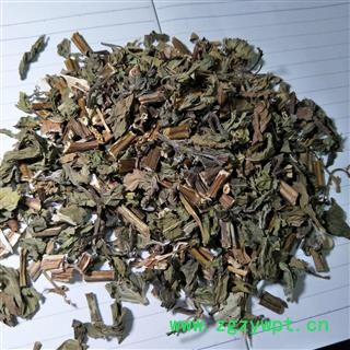 薄荷 薄荷褐色统段 产地 山东省图2