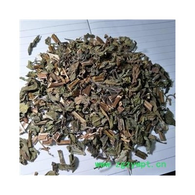 薄荷 薄荷褐色统段 产地 山东省