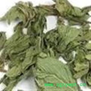 诺源药材行正品薄荷 优质新货图2