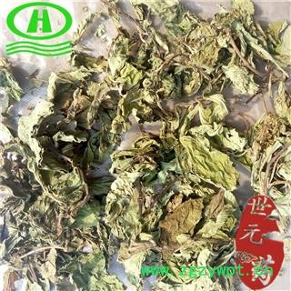 世元药业 薄荷叶 新货 香味浓郁 清香 调味 统货叶图2