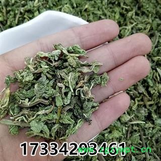 薄荷茶 薄荷茶花草茶 今年新货 薄荷茶 薄荷清凉茶图2