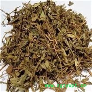 诺源药材行大金不换草 金牛草 紫背金牛 金牛远志 大金牛草图2