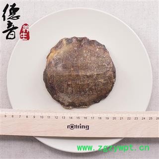 【满包邮】生鳖甲 血鳖甲 产地 湖北省 买好货 选德音 正品溯源 规范标准 三证齐全 全品类药材一站购齐图2