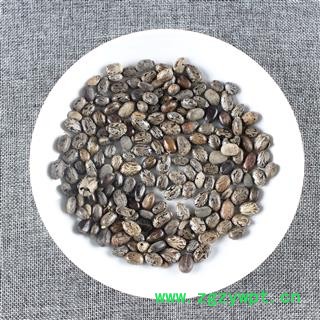 【满298元包邮】蓖麻子 蓖麻子选装 产地 四川省  一公斤一袋图2